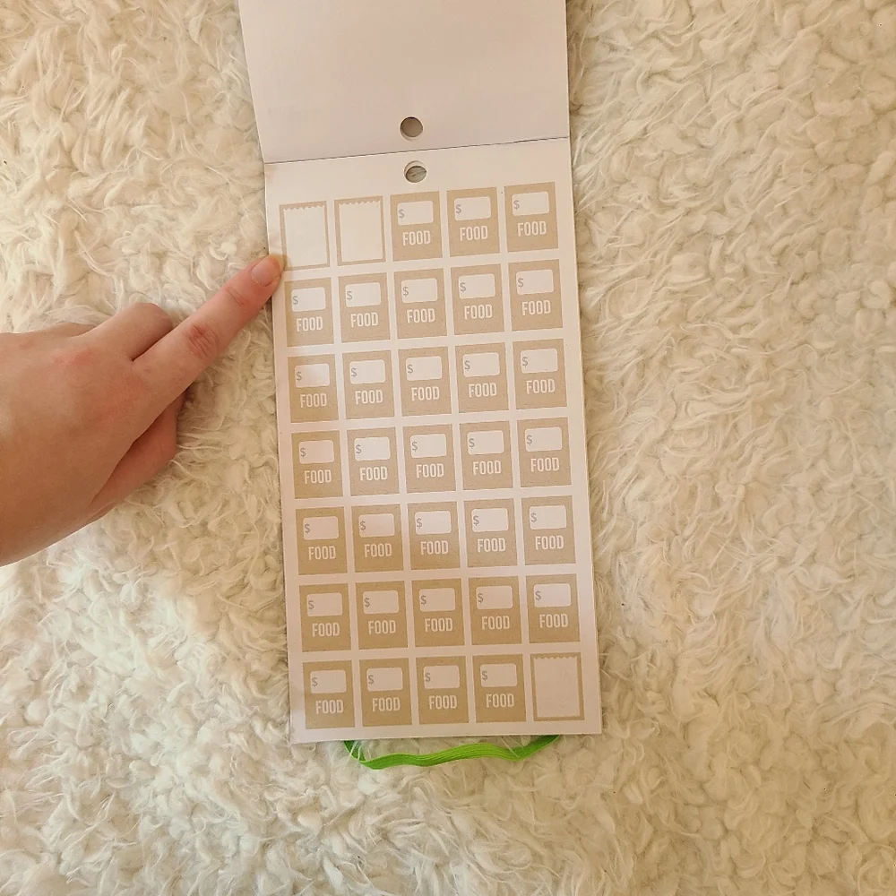 🌻 happy planner • budget sticker book